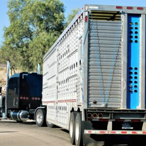 TRUCKING! CATTLE HAULER!!